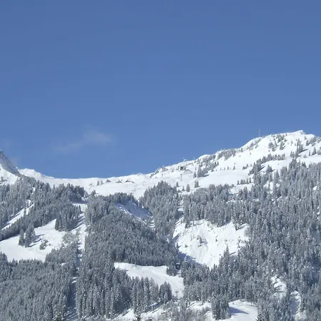 Gaestehaus Am Graben 3* Reutte