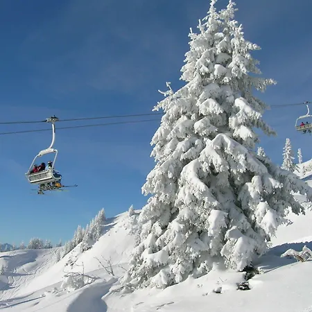 فندق Gaestehaus Am Graben 3*